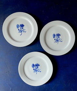 Bright white porcelain cosmos  dessert plate