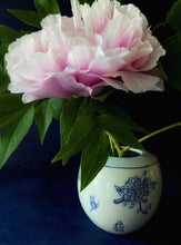 Load image into Gallery viewer, Large English porcelain round multi chrysanthemum vase