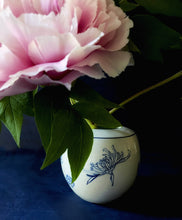 Load image into Gallery viewer, Large English porcelain round multi chrysanthemum vase