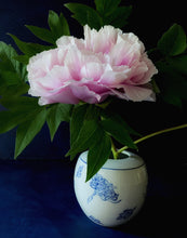 Load image into Gallery viewer, Large English porcelain round multi chrysanthemum vase