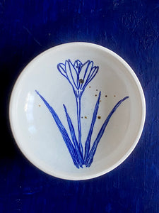 Banchan crocus, fine English porcelain