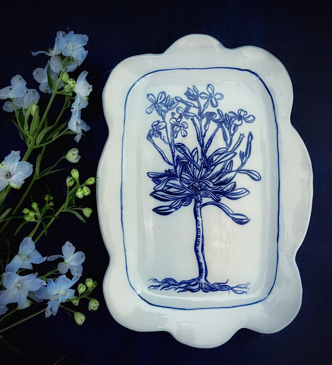 Porcelain scalloped rectangular, phlox platter with roots