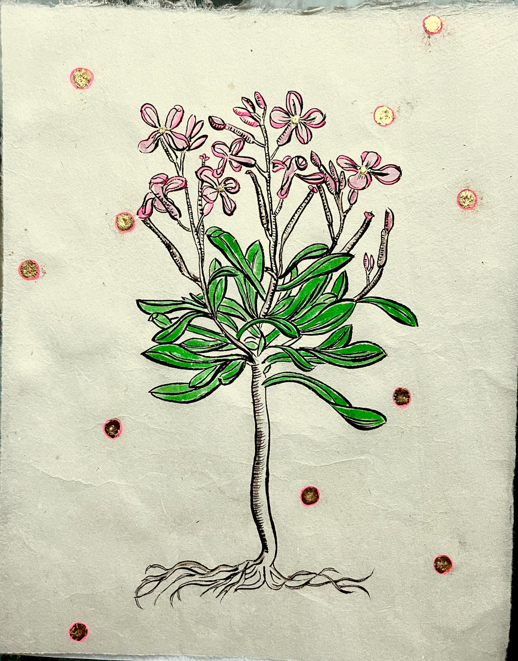 Phlox painting with gold leaf