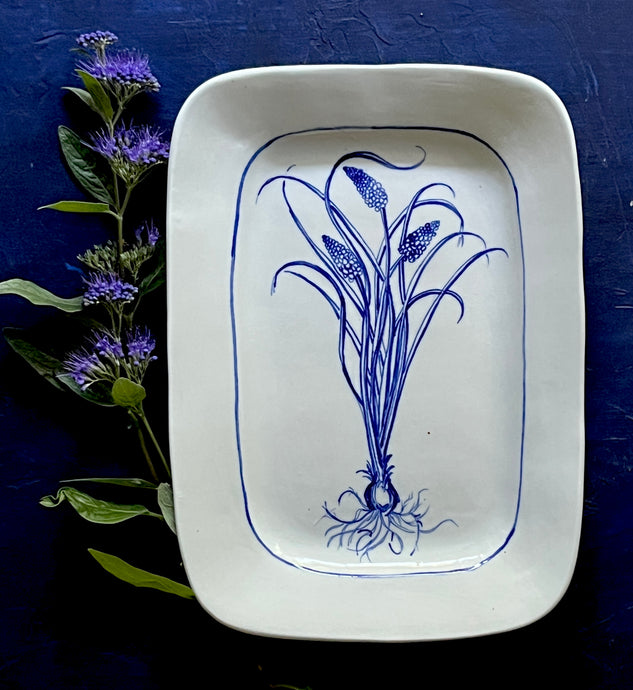 Fine English porcelain muscari rectangle platter with roots