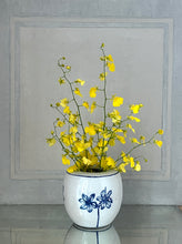Load image into Gallery viewer, Large English porcelain narcissus vase