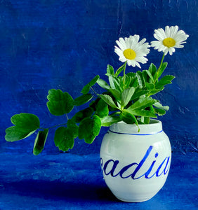 Arcadia vase in fine English porcelain