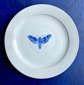 Porcelain moth salad/dinner plate