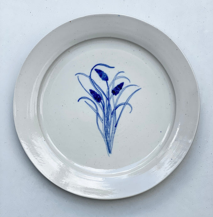 Muscari dinner plate