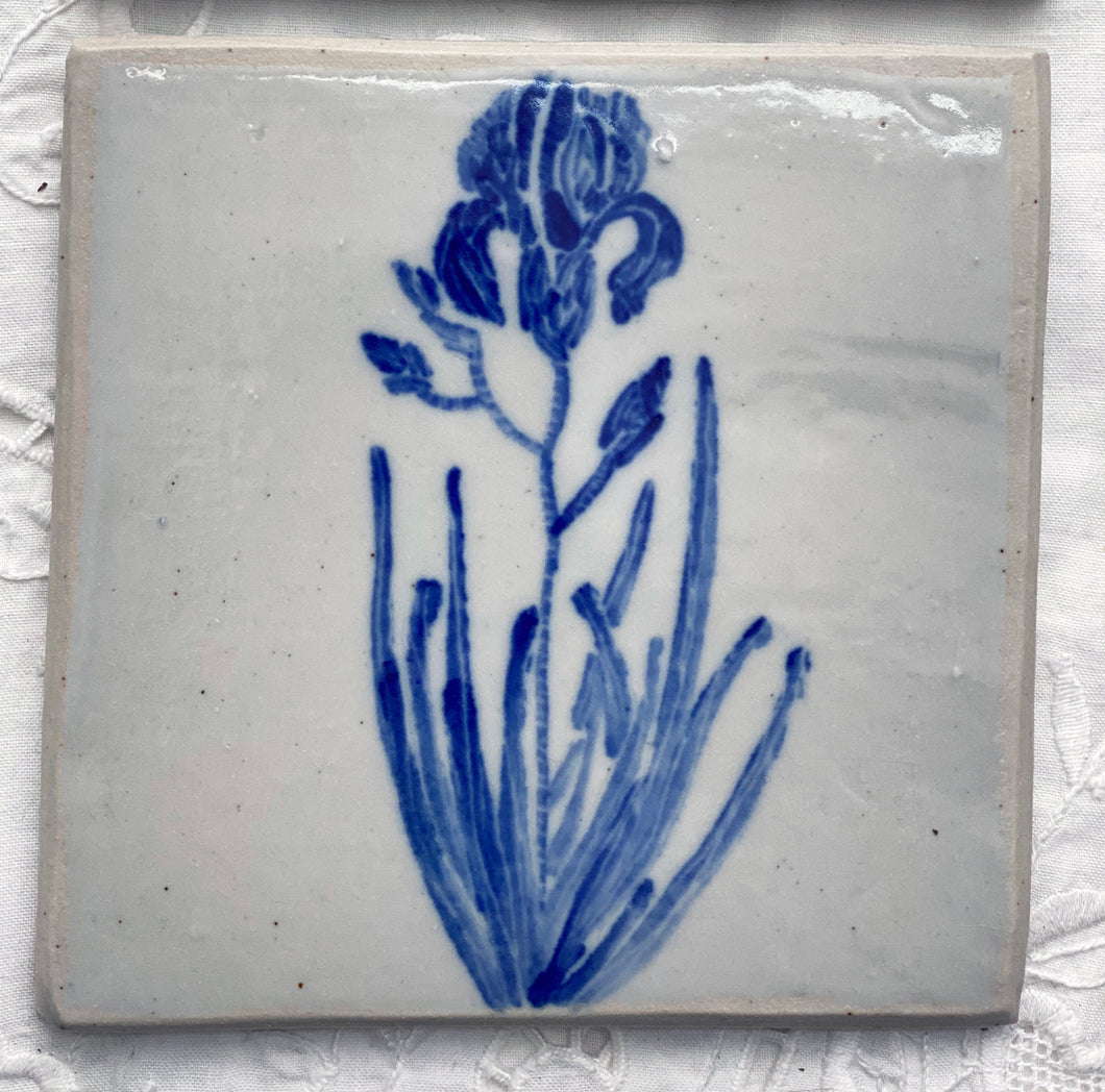 Porcelain iris tile